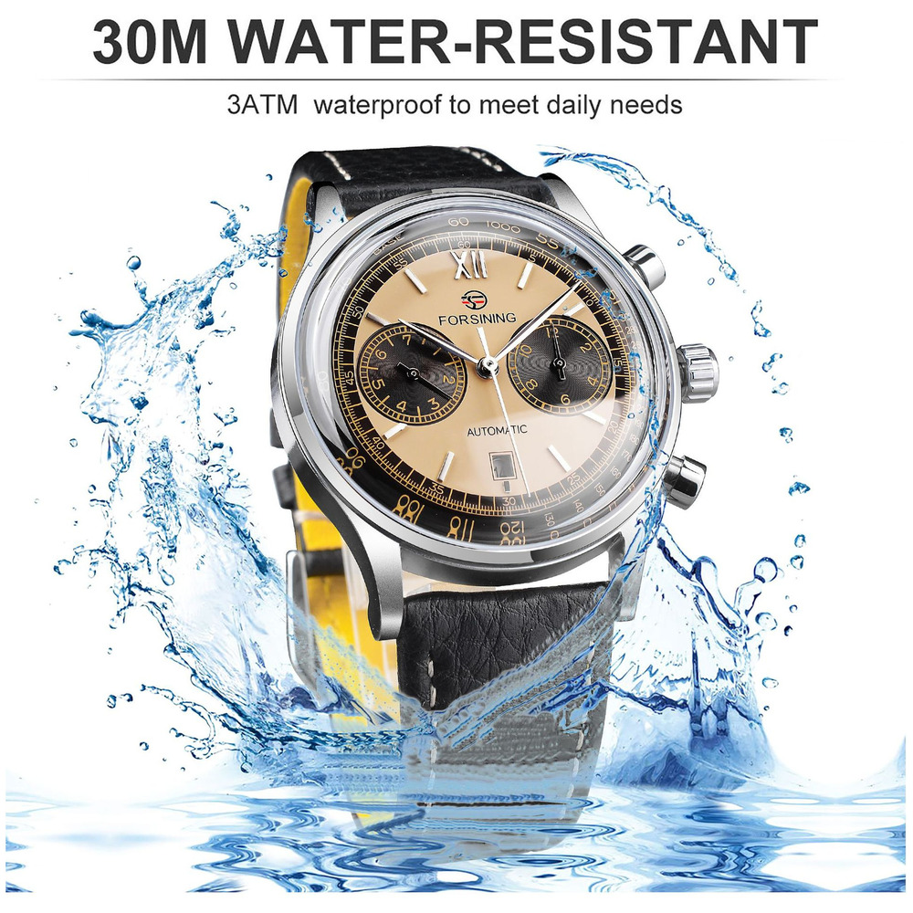 Forsining High End Men's Watch - Luxury Watch Grade 评论和价格