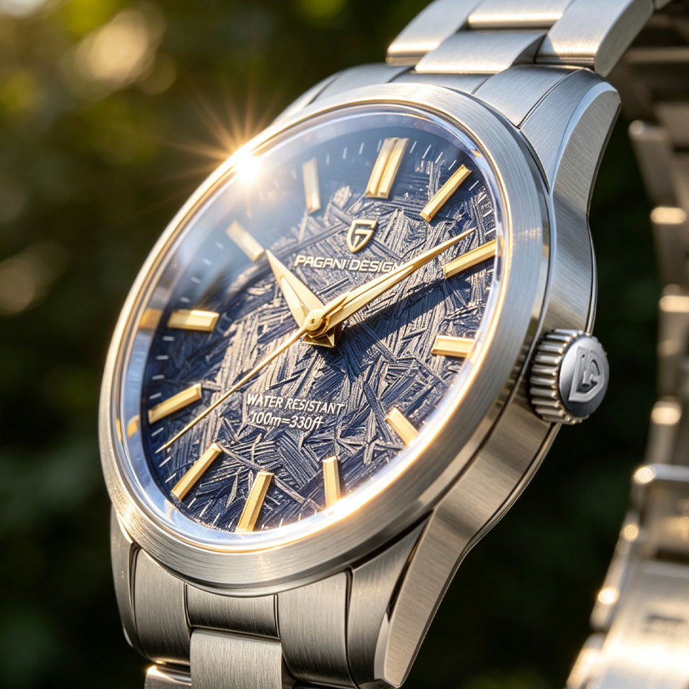 PAGANI DESIGN 40MM Men Quartz  - Luxury Watch And Bracelet 评论和价格