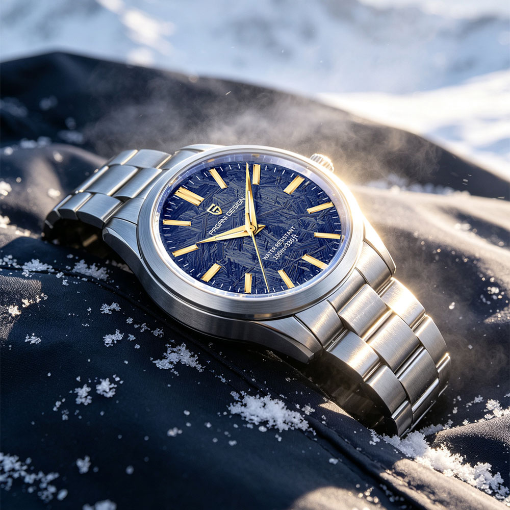 PAGANI DESIGN 40MM Men Quartz  - Luxury Watch And Bracelet 评论和价格